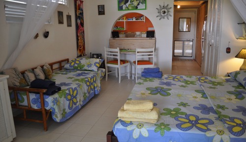 Classic Apartment, 1 Bedroom, Kitchen, Garden Area