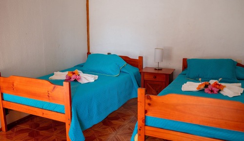 Twin Room, 2 Twin Beds (Shared Kitchen)