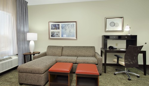 Studio Suite, 1 Queen Bed with 1 Double Sofa Bed, Accessible (Communication, Roll-In Shower)