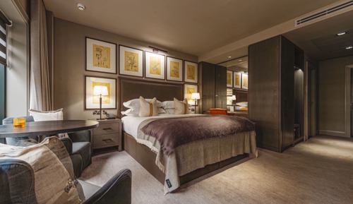 Room, 1 King Bed, Garden Area