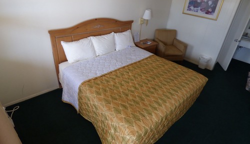 Room, 1 King Bed