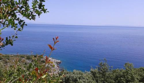 Standard Room with Sea View