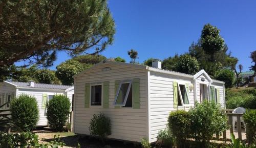 Mobile Home