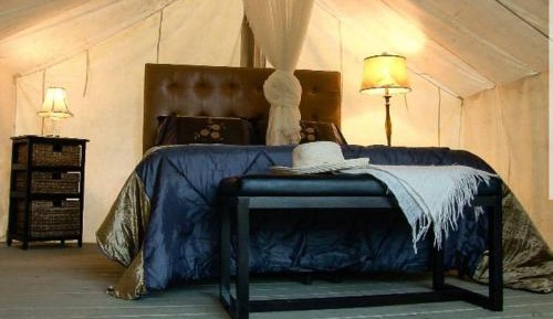 Glamping Cabin Tent + 2 Standard Range Tent (Bed and Breakfast Included)