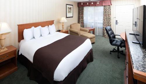 Standard Queen Room