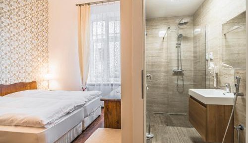 Deluxe Apartment with Kitchen