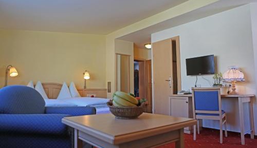 Comfort Double Room with Mountain View