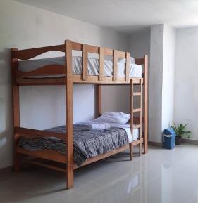 Bunk Bed in Mixed Dormitory Room