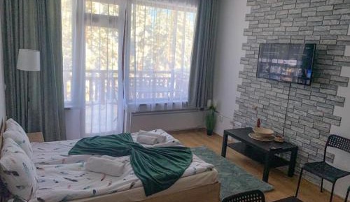 Studio with Terrace