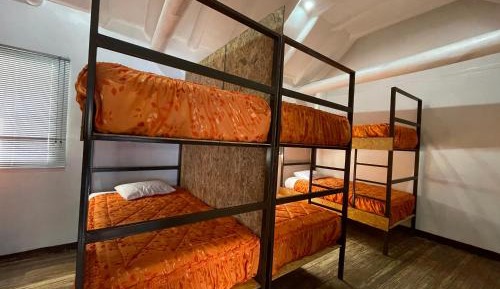 Mixed Dormitory Room