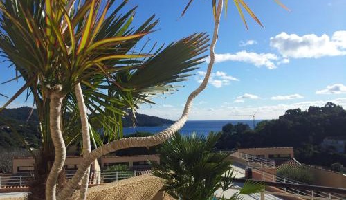 Studio with Sea View and Mezzanine