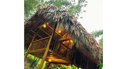 Bungalow - Water Front 