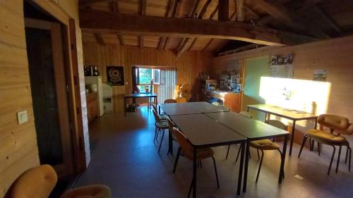 Superior One-Bedroom Apartment