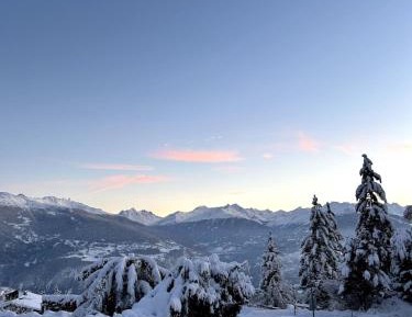 Chalet