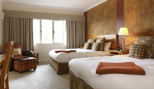Standard Queen Room with Two Queen Beds