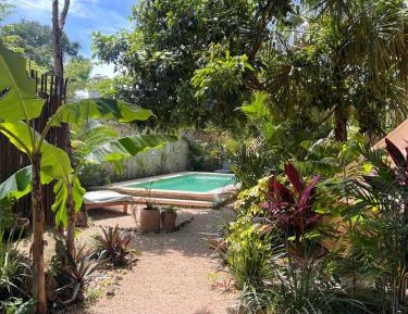King Room with Pool View
