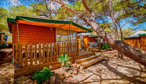 Bungalow Confort (4 Adults)