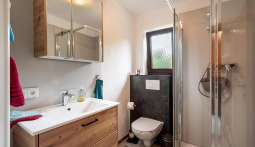 Apartment with Shower