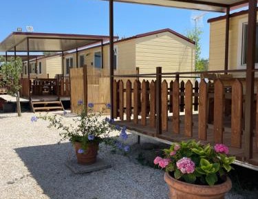 Mobile Home