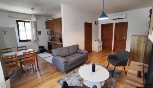 Two-Bedroom Family Apartment