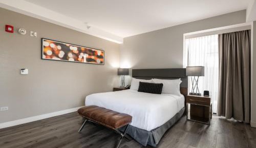 One Bedroom Suite Accessible