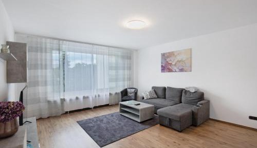 Three-Bedroom Superior Apartment
