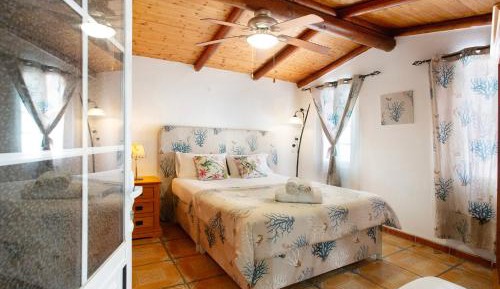 Superior One-Bedroom Apartment