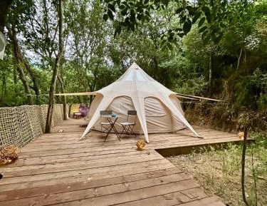 Tent