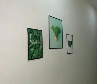 Mixed Dormitory Room
