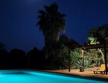 One-Bedroom Villa