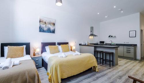 Deluxe One-Bedroom Apartment with City View