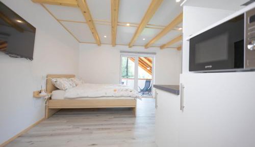 Studio with Balcony