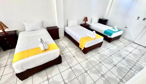 Single Bed in Mixed Dormitory Room