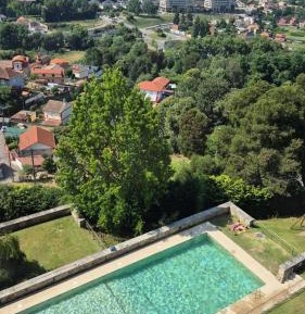 Apartment with Pool View 