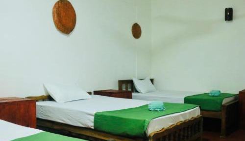 4-Bed Mixed Dormitory Room
