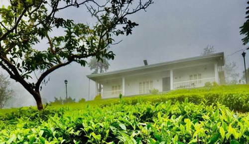 Villa with Garden View