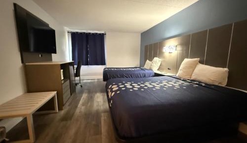 Standard Queen Room