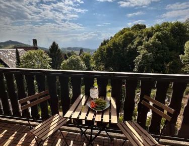 Superior One-Bedroom Apartment with Balcony