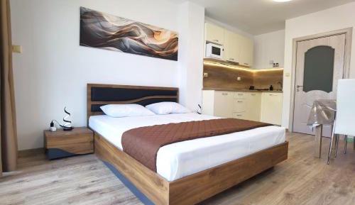 Studio Apartment with Sea View
