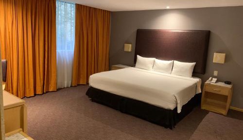 Junior Suite One Queen Bed