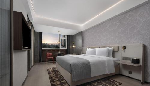 Double Room with Japanese Style 