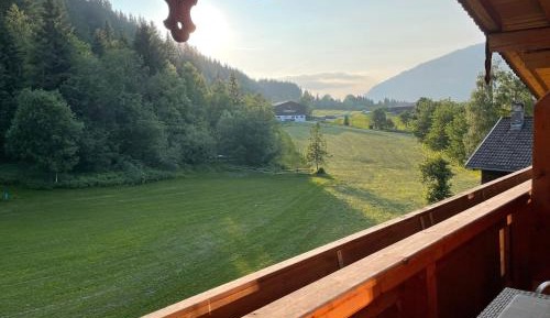 Superior One-Bedroom Apartment with Balcony