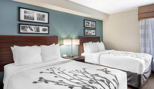 Double Room with Two Double Beds - Non-Smoking