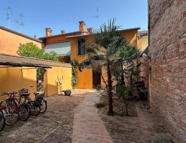 Apartment - Split Level