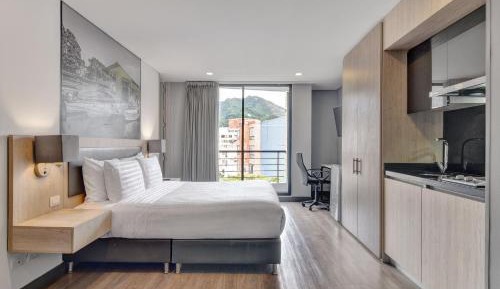 Deluxe One-Bedroom Apartment with City View