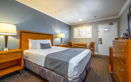 Room #4608409