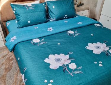 Apartment with Mountain View