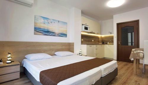 Studio Apartment with Sea View