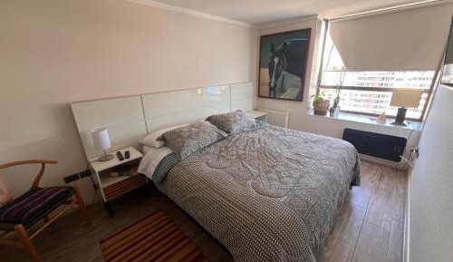 Three-Bedroom Premium Apartment