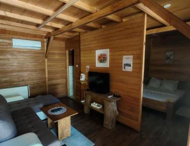 Family Room with Bathroom